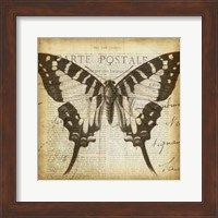 Framed Carte Postale Butterfly I