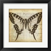 Carte Postale Butterfly I Framed Print