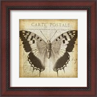 Framed Carte Postale Butterfly II