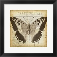 Carte Postale Butterfly II Framed Print