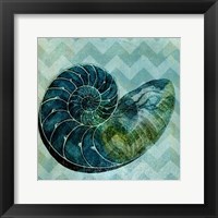 Framed Chevron Shell I