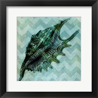 Framed Chevron Shell VII