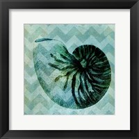 Framed Chevron Shell IX