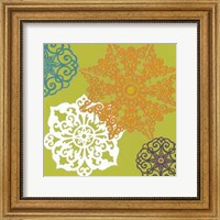 Framed Vibrant Winter Lace II