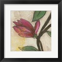 Tulip Poplar III Framed Print