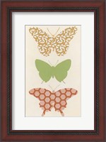 Framed Butterfly Patterns III