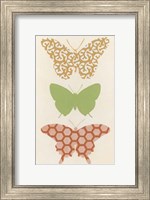 Framed Butterfly Patterns III