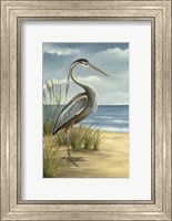 Framed Shore Bird I