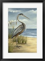 Framed Shore Bird I