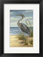 Framed Shore Bird II