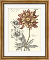 Framed Tinted Floral III