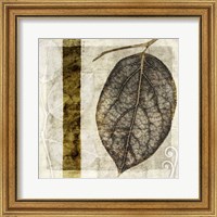 Framed Fall Leaves I