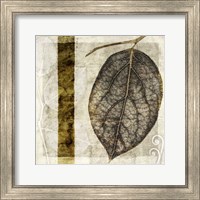Framed Fall Leaves I