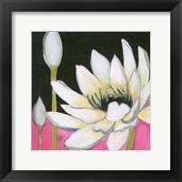 Framed Bliss Lotus III