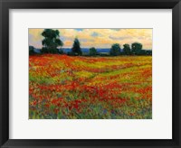 Framed Red Field I