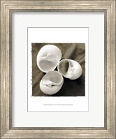 Framed Equalized Shell Trio I