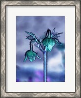 Framed Love Flowers I