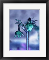 Framed Love Flowers I