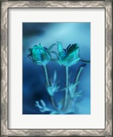 Framed Love Flowers III
