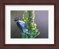 Framed Woodpecker Mullen