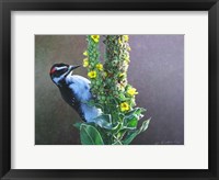 Framed Woodpecker Mullen