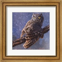 Framed Owl in Winter I