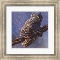 Framed Owl in Winter I