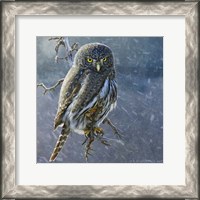Framed Owl in Winter II