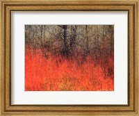 Framed Red Grass II