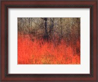 Framed Red Grass II