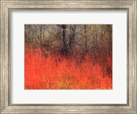 Framed Red Grass II