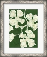 Framed Green Blooms II
