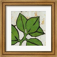 Framed Planta Green III