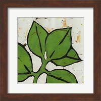 Framed Planta Green III