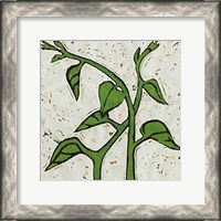 Framed Planta Green V