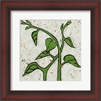 Framed Planta Green V