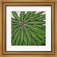 Framed Planta Green VIII