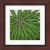 Framed Planta Green VIII