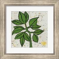 Framed Planta Green IX