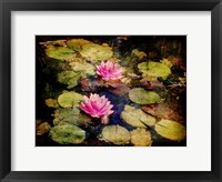 Framed Lily Ponds I