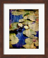Framed Lily Ponds VII