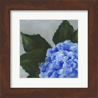 Framed Hydrangea Detail I