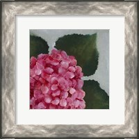 Framed Hydrangea Detail II