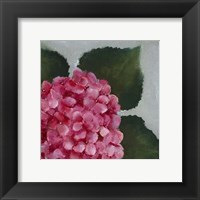 Framed Hydrangea Detail II