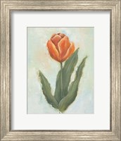 Framed Painted Tulips IV