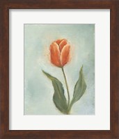 Framed Painted Tulips V