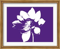 Framed Lilly on Purple