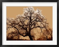 Framed Oak Tree on Tope