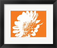 Framed Orange Mum