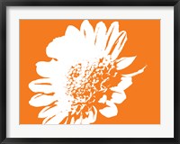 Framed Orange Mum